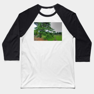 Abercorn Greenery Baseball T-Shirt